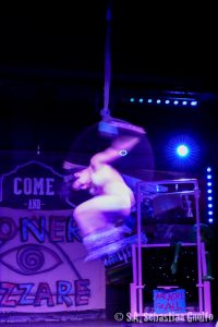 BONER BIZARRE Was An Inside (Hand) Job